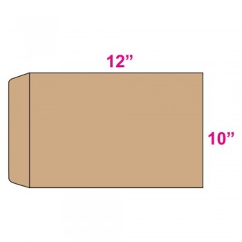 Brown Envelope - Giant - 10-inch x 12-inch